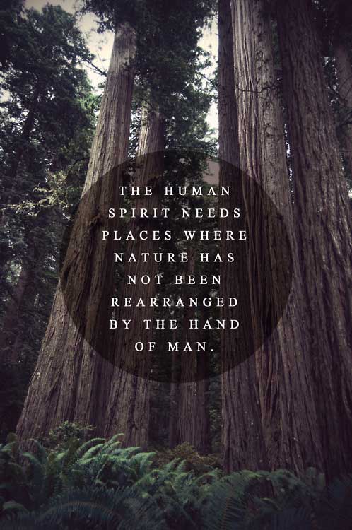 human-spirit-nature-inspiration-quote